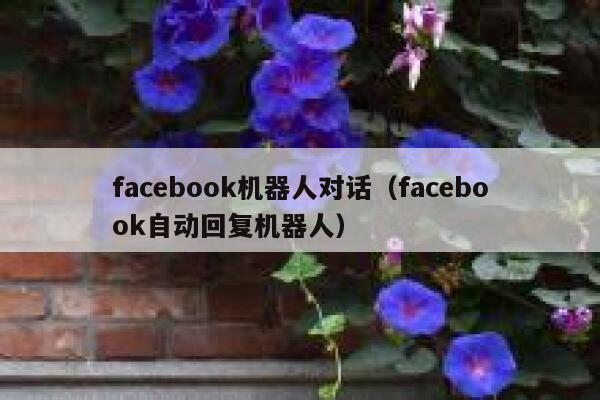 facebook机器人对话（facebook自动回复机器人） 第1张