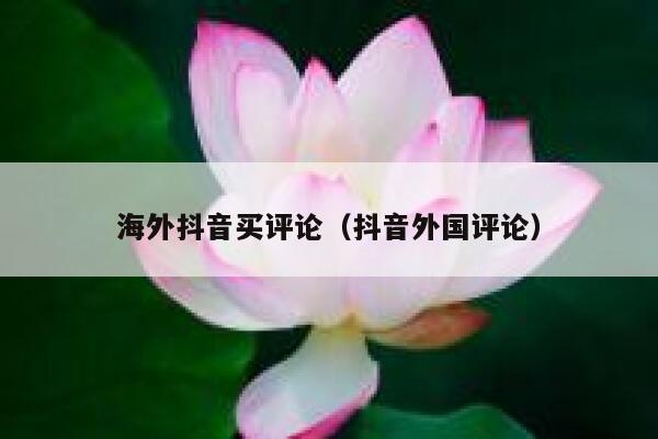 海外抖音买评论（抖音外国评论） 第1张