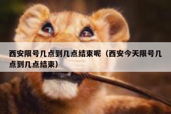 西安限号几点到几点结束呢（西安今天限号几点到几点结束） 第1张