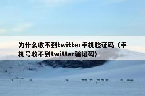为什么收不到twitter手机验证码（手机号收不到twitter验证码） 第1张