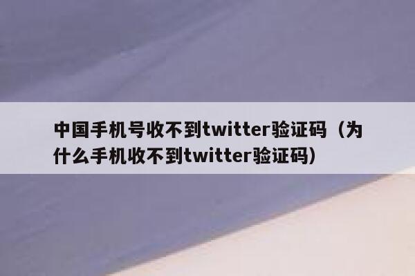 中国手机号收不到twitter验证码（为什么手机收不到twitter验证码） 第1张