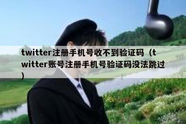 twitter注册手机号收不到验证码（twitter账号注册手机号验证码没法跳过） 第1张