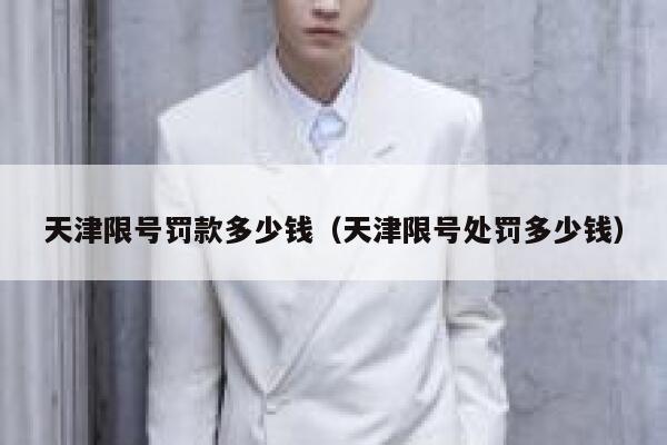 天津限号罚款多少钱（天津限号处罚多少钱） 第1张
