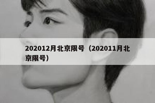 202012月北京限号（202011月北京限号） 第1张