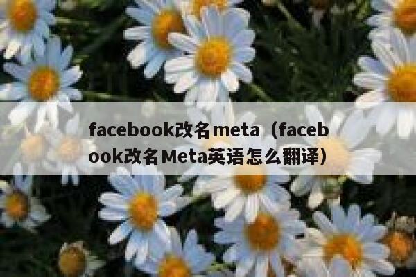 facebook改名meta（facebook改名Meta英语怎么翻译） 第1张