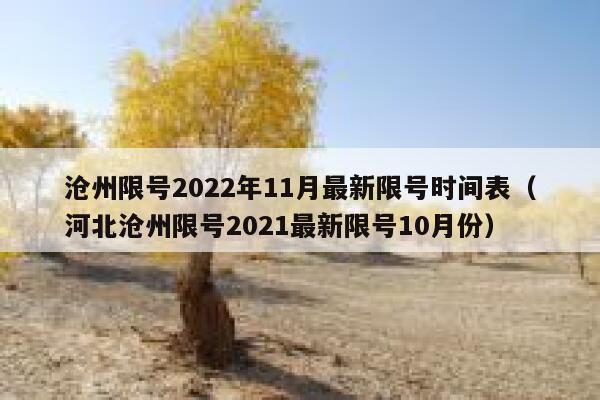 沧州限号2022年11月最新限号时间表（河北沧州限号2021最新限号10月份） 第1张