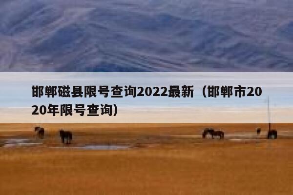 邯郸磁县限号查询2022最新（邯郸市2020年限号查询） 第1张