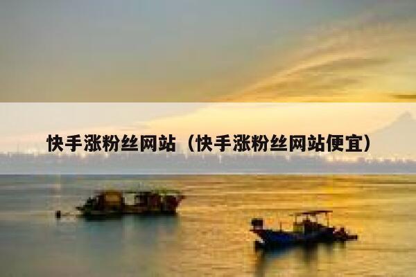 快手涨粉丝网站（快手涨粉丝网站便宜） 第1张