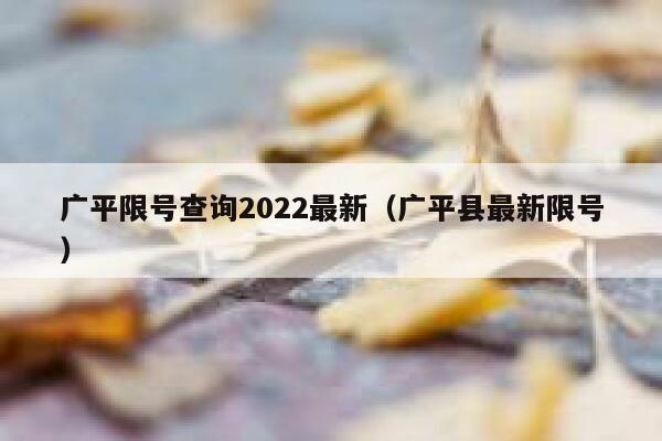 广平限号查询2022最新（广平县最新限号） 第1张