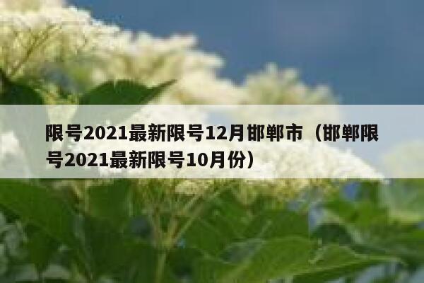 限号2021最新限号12月邯郸市（邯郸限号2021最新限号10月份） 第1张