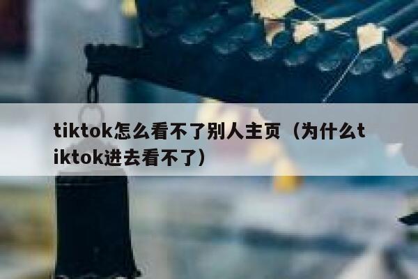 tiktok怎么看不了别人主页（为什么tiktok进去看不了） 第1张