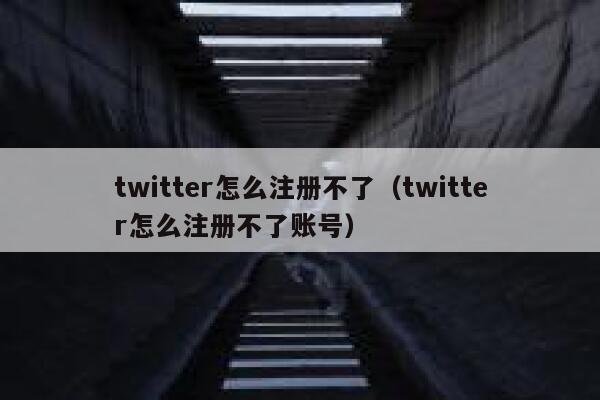 twitter怎么注册不了（twitter怎么注册不了账号） 第1张