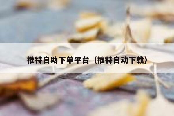推特自助下单平台（推特自动下载） 第1张