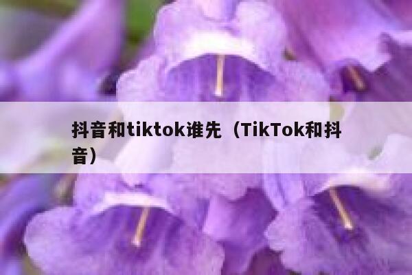 抖音和tiktok谁先（TikTok和抖音） 第1张