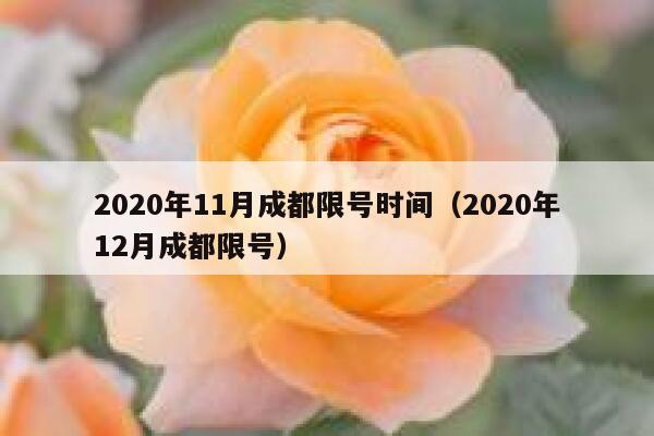 2020年11月成都限号时间（2020年12月成都限号） 第1张