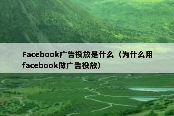 Facebook广告投放是什么（为什么用facebook做广告投放） 第1张
