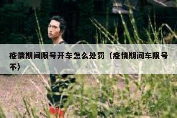 疫情期间限号开车怎么处罚（疫情期间车限号不） 第1张