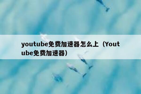 youtube免费加速器怎么上（Youtube免费加速器） 第1张