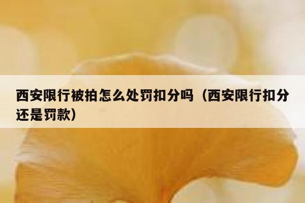 西安限行被拍怎么处罚扣分吗（西安限行扣分还是罚款） 第1张