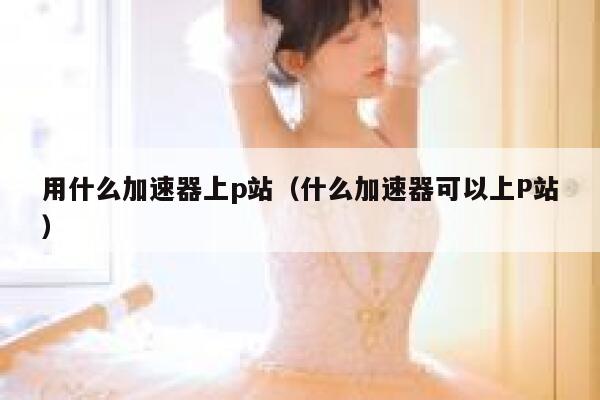 用什么加速器上p站（什么加速器可以上P站） 第1张