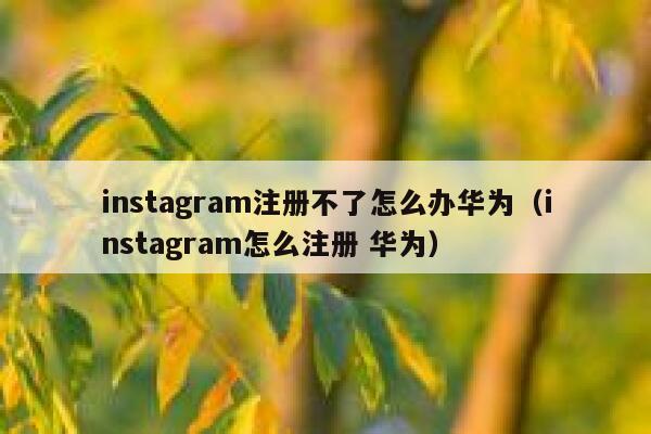 instagram注册不了怎么办华为（instagram怎么注册 华为） 第1张