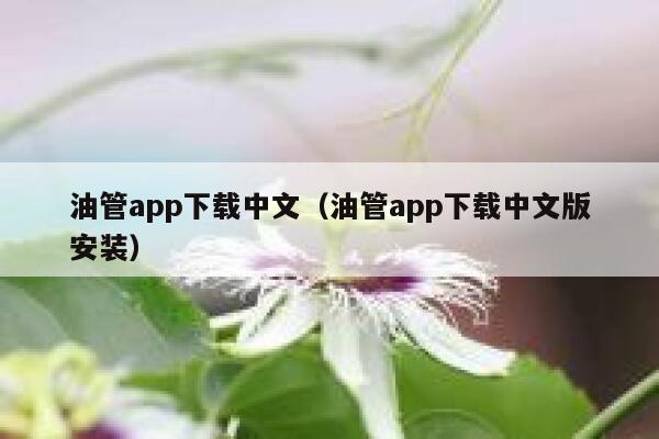 油管app下载中文（油管app下载中文版安装） 第1张