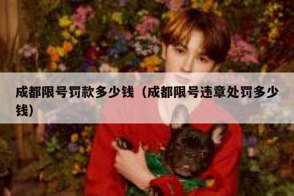 成都限号罚款多少钱（成都限号违章处罚多少钱） 第1张
