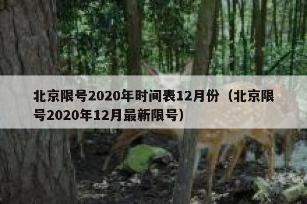 北京限号2020年时间表12月份(北京限号2020年12月最新限号) 第1张 北京限号2020年时间表12月份(北京限号2020年12月最新限号) 第1张
