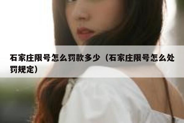 石家庄限号怎么罚款多少（石家庄限号怎么处罚规定） 第1张