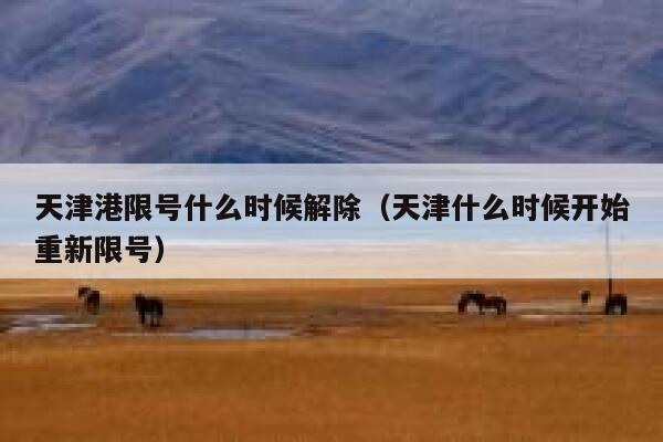 天津港限号什么时候解除（天津什么时候开始重新限号） 第1张