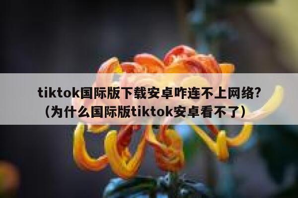 tiktok国际版下载安卓咋连不上网络?（为什么国际版tiktok安卓看不了） 第1张