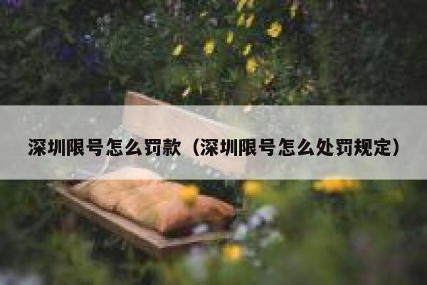深圳限号怎么罚款（深圳限号怎么处罚规定） 第1张