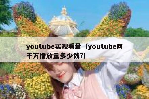 youtube买观看量（youtube两千万播放量多少钱?） 第1张