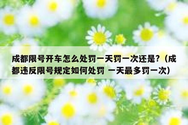 成都限号开车怎么处罚一天罚一次还是?（成都违反限号规定如何处罚 一天最多罚一次） 第1张