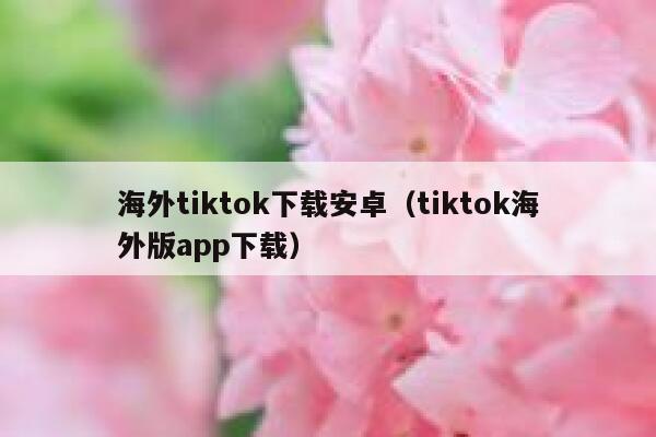 海外tiktok下载安卓（tiktok海外版app下载） 第1张