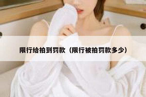 限行给拍到罚款（限行被拍罚款多少） 第1张
