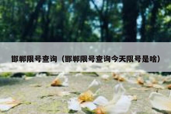 邯郸限号查询（邯郸限号查询今天限号是啥） 第1张