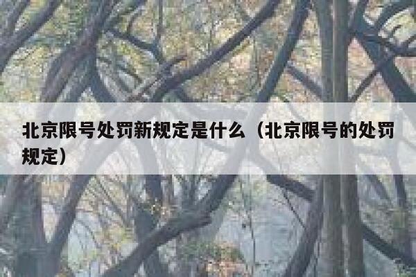 北京限号处罚新规定是什么（北京限号的处罚规定） 第1张