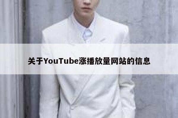 关于YouTube涨播放量网站的信息 第1张