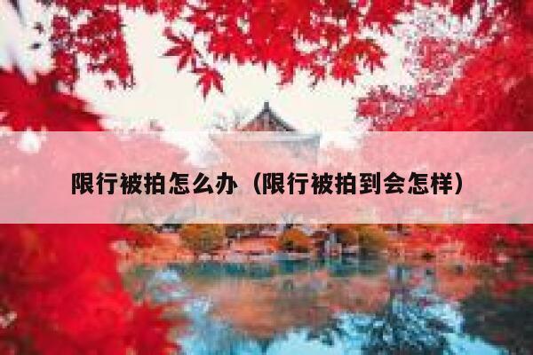限行被拍怎么办（限行被拍到会怎样） 第1张