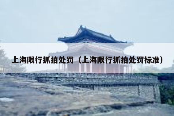 上海限行抓拍处罚（上海限行抓拍处罚标准） 第1张