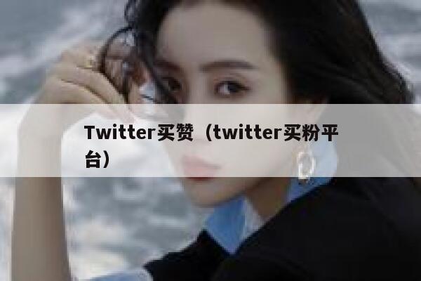 Twitter买赞（twitter买粉平台） 第1张