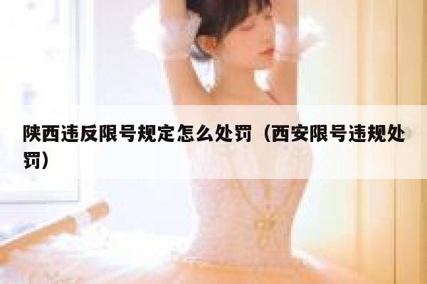 陕西违反限号规定怎么处罚（西安限号违规处罚） 第1张