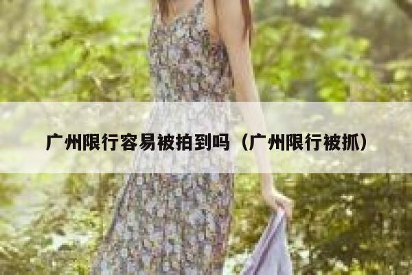 广州限行容易被拍到吗（广州限行被抓） 第1张
