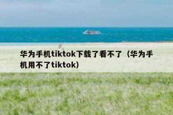 华为手机tiktok下载了看不了（华为手机用不了tiktok） 第1张