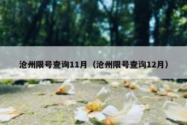 沧州限号查询11月（沧州限号查询12月） 第1张