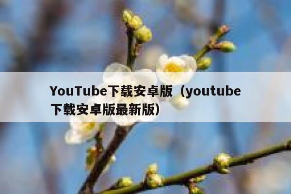 YouTube下载安卓版（youtube下载安卓版最新版） 第1张