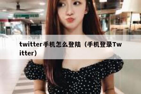 twitter手机怎么登陆（手机登录Twitter） 第1张