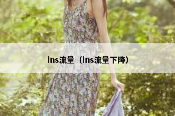 ins流量（ins流量下降） 第1张