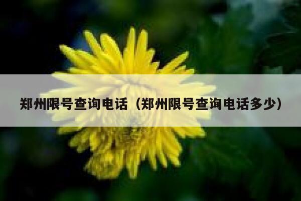 郑州限号查询电话（郑州限号查询电话多少） 第1张